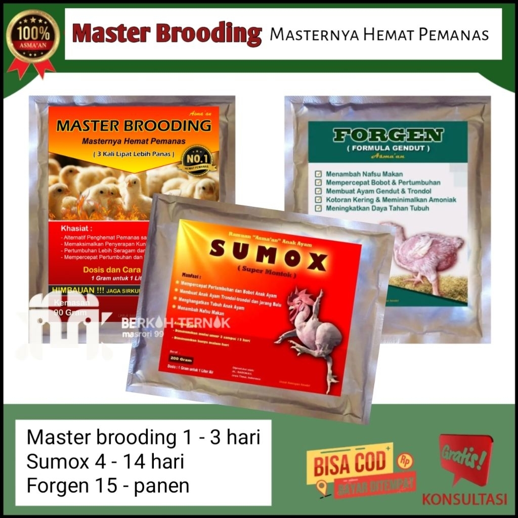 paketan master brooding - sumox - forgen