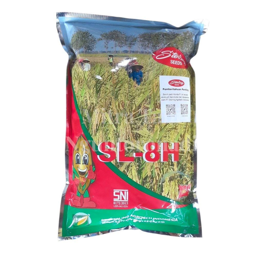Benih Padi Hibrida SL-8H Cap Sterling 1Kg