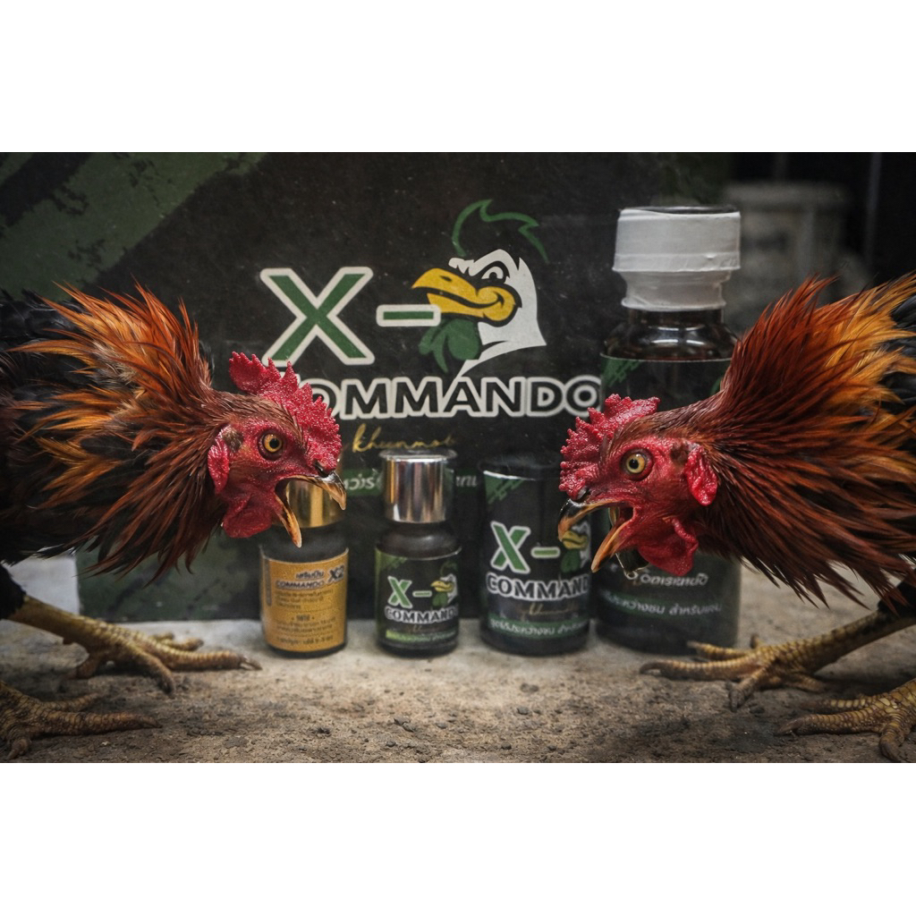 DOPING F1 F2 doping ayam kuat lama dalam bertarung burung merpati tahan lama perjalanan jauh doping 