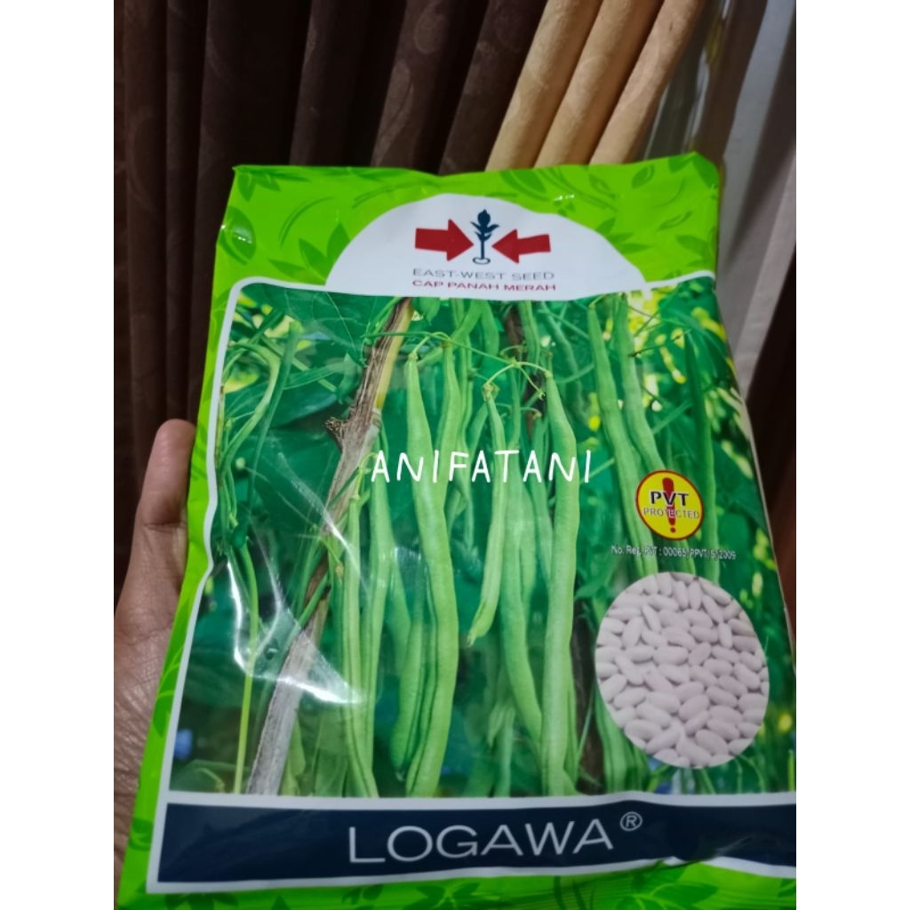 benih buncis LOGAWA 500gram