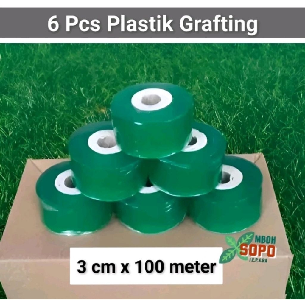 6 pcs Grafting Tape Plastik Okulasi Tanaman