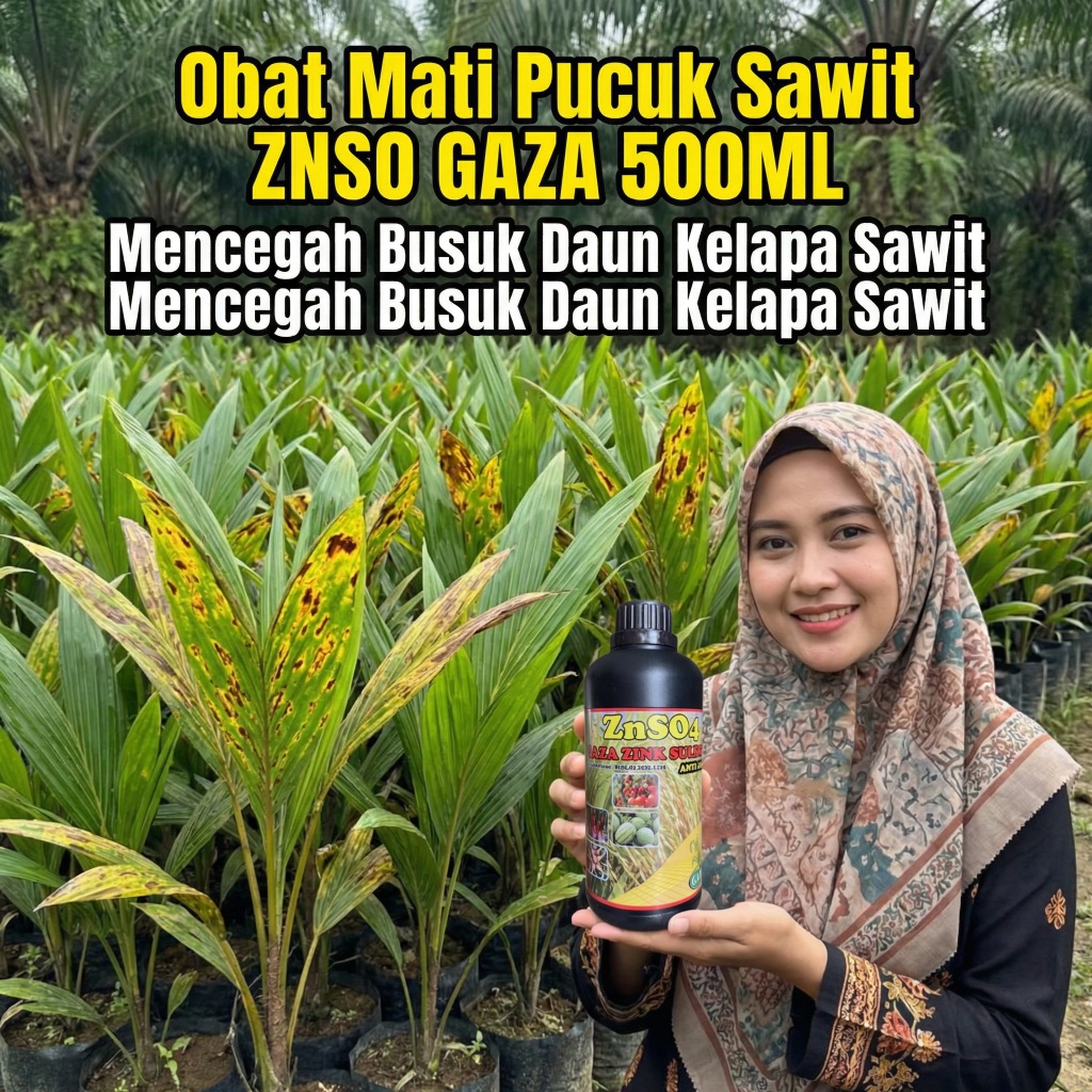 Pupuk Cair ZNSO Atasi Bercak Daun Bibit Sawit Paling Ampuh & Cepat Sembuh | Solusi Daun Menguning, B