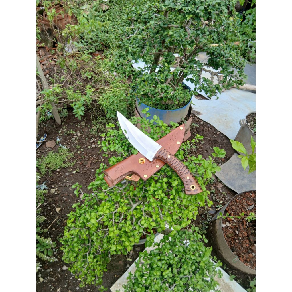 pisau seset fultang bilah 14 cm