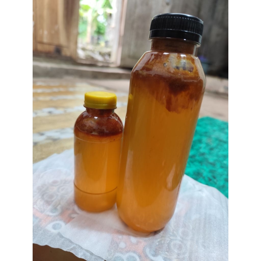 Madu Tawon Gung asli