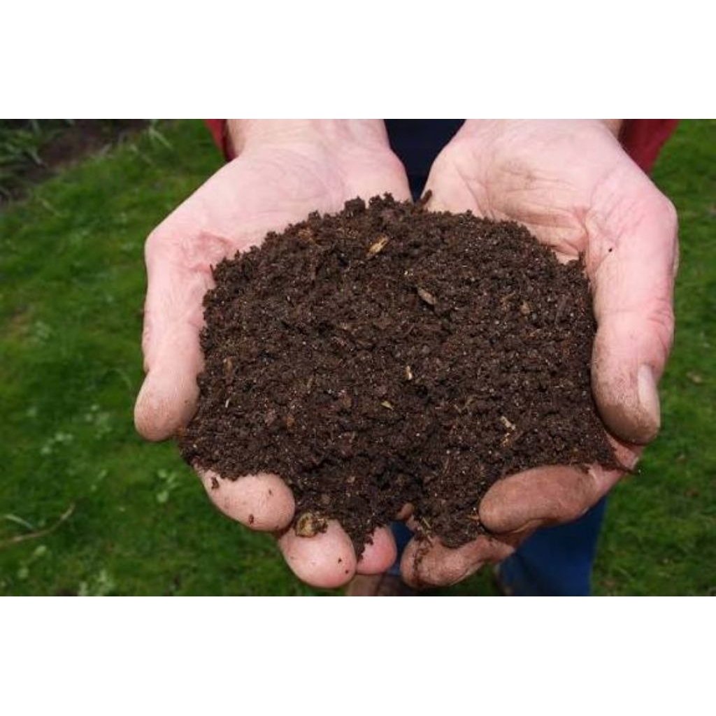 1kg PUPUK ORGANIK KOTORAN AYAM MURNI - Kohe Ayam Fermentasi Matang - Nutrisi Tanaman & Media Kultur 