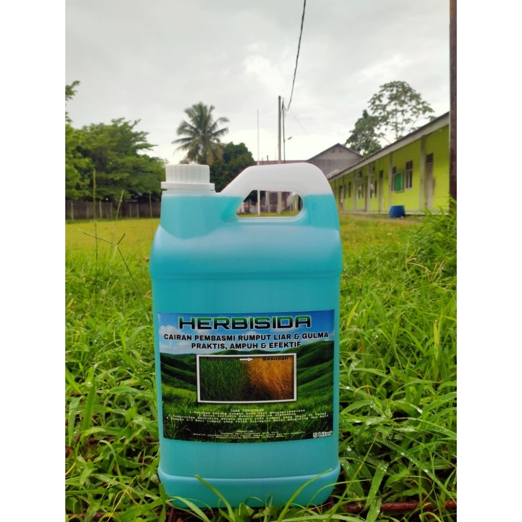 HERBISIDA PEMBASMI RUMPUT LIAR 5 LITER