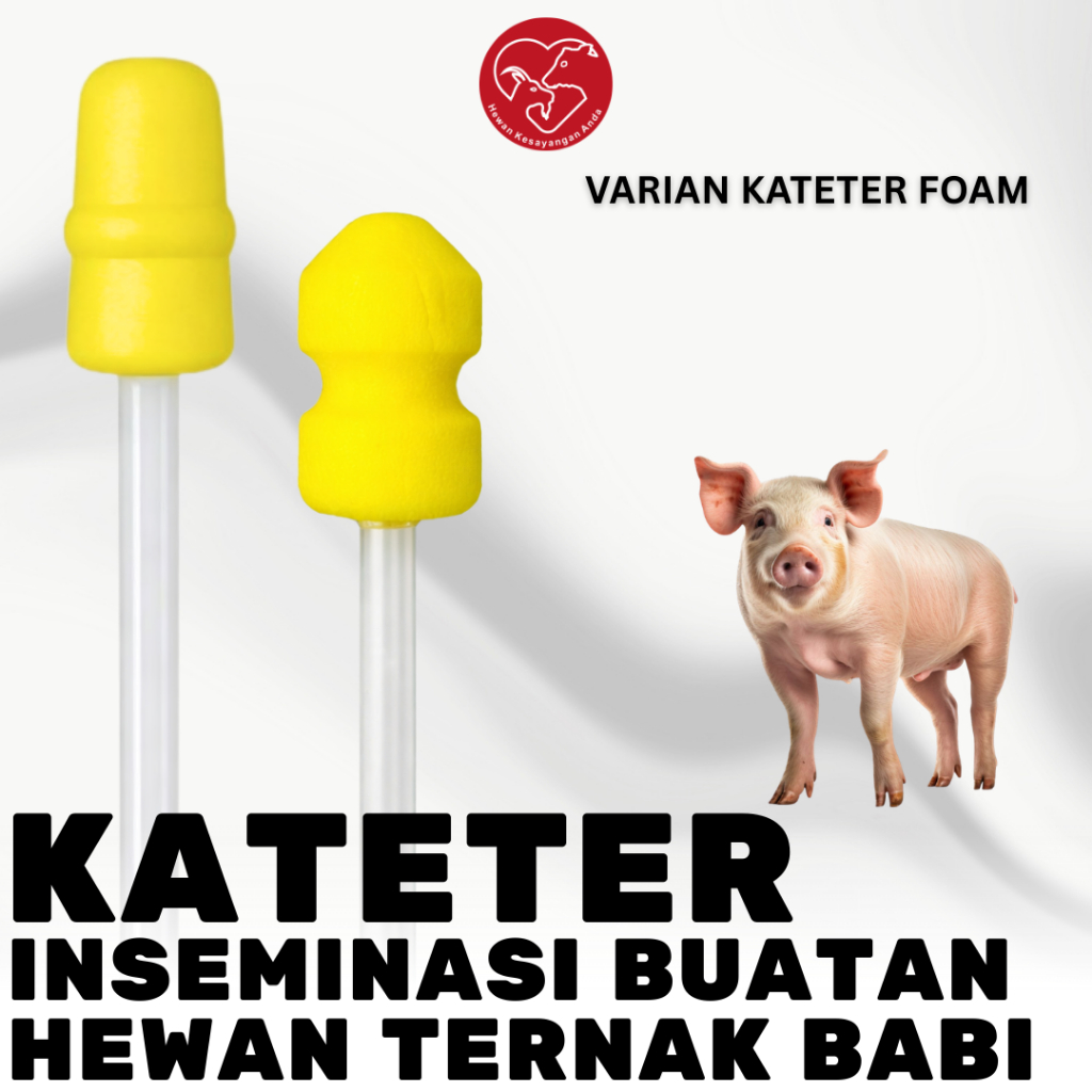 Kateter Babi Foam - Catheter Inseminasi Buatan