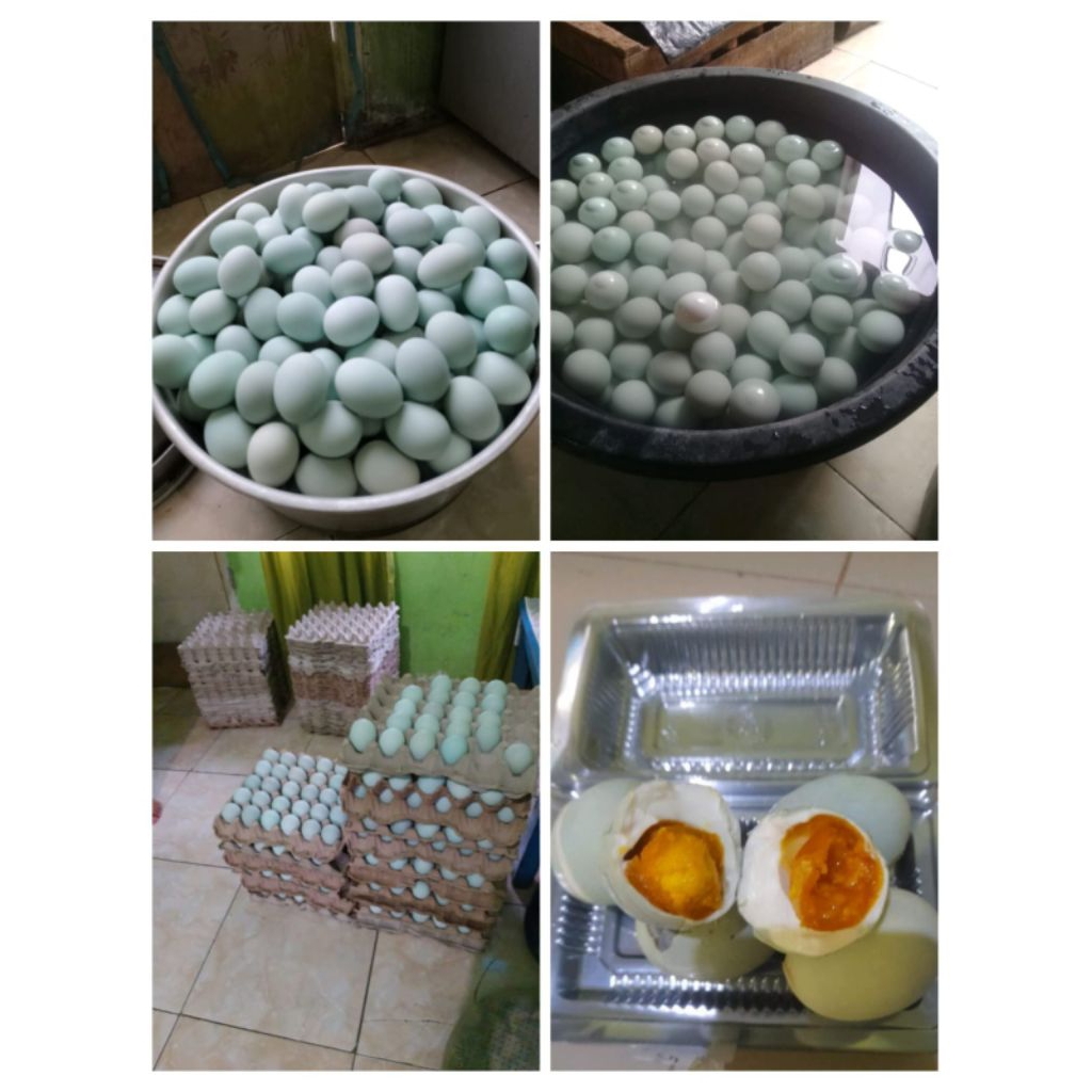 TELUR ASIN MATANG/TELOR ASIN MATANG
