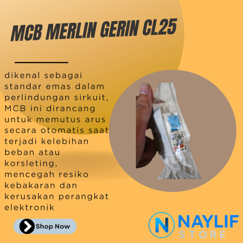 MCB MERLIN GERIN CL25