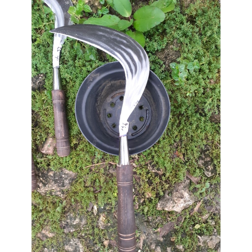 sabit rumput model wonosobo super tajam