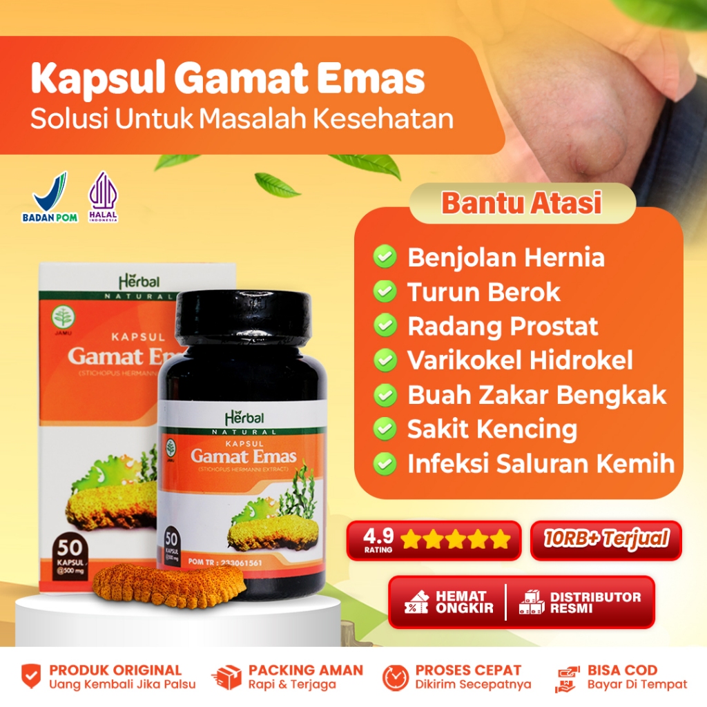 GAMAT EMAS Kapsul Herbal Obat Hernia Verikokel Asam Lambung 50 Kapsul Ekstrak Teripang