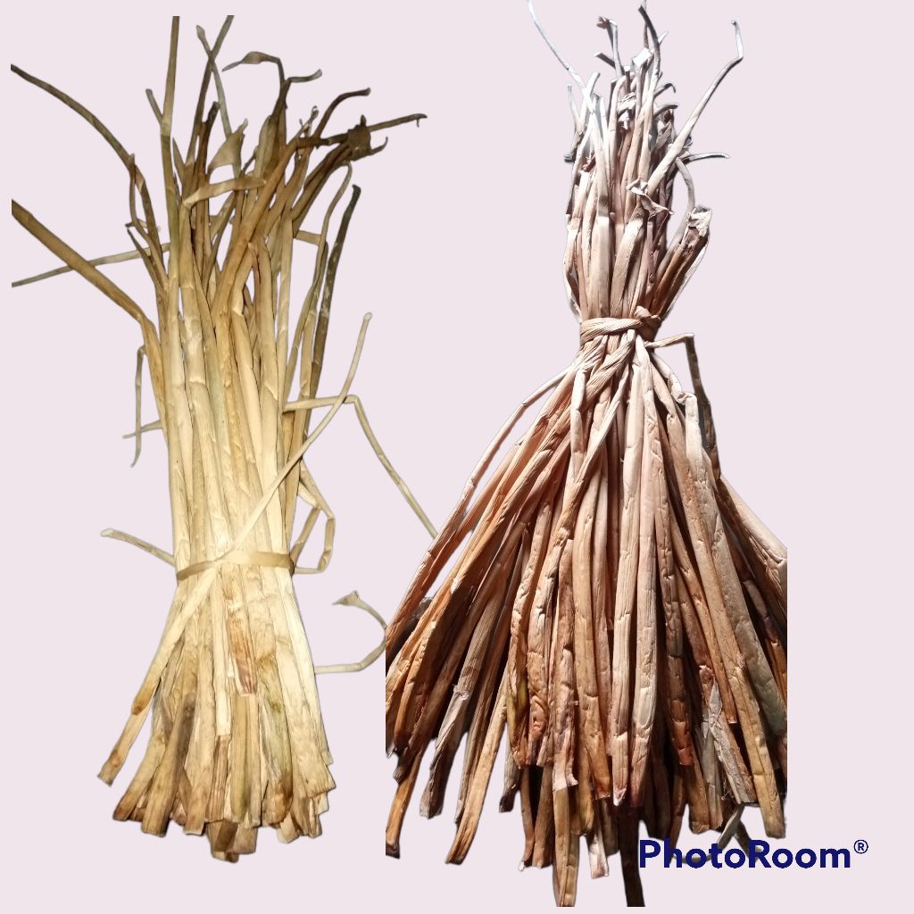 eceng gondok kering isi 50 tangkai