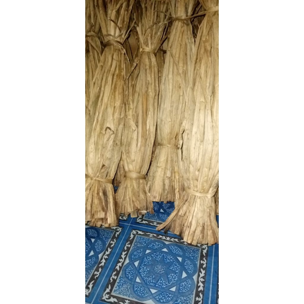 Enceng gondok kering bahan kerajinan tangan