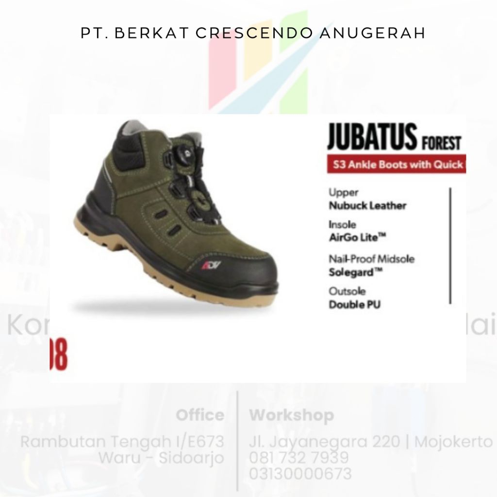 Cheetah Jubatus 6112C