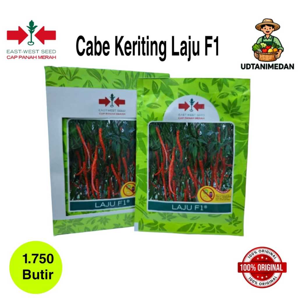 Benih Cabe Keriting Laju F1 isi 1750 butir
