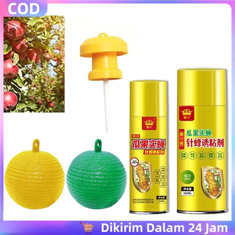 Perangkap Lalat Buah Racun Lalat Buah Yellow Trap Universal Insek Lalat Buah Kuning Insek Lalat Buah