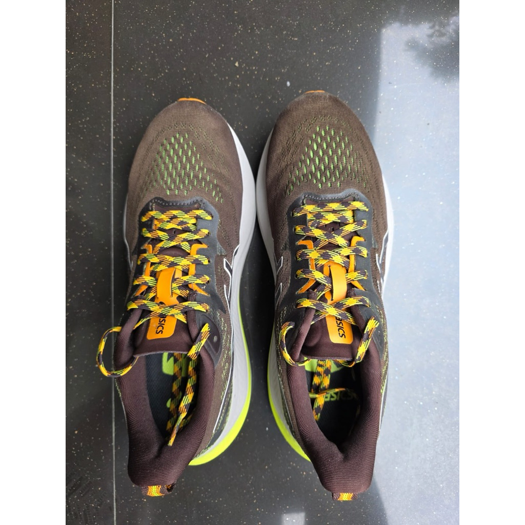 [PRELOVED] The Asics GT-2000 12 TR 'Nature Bathing'