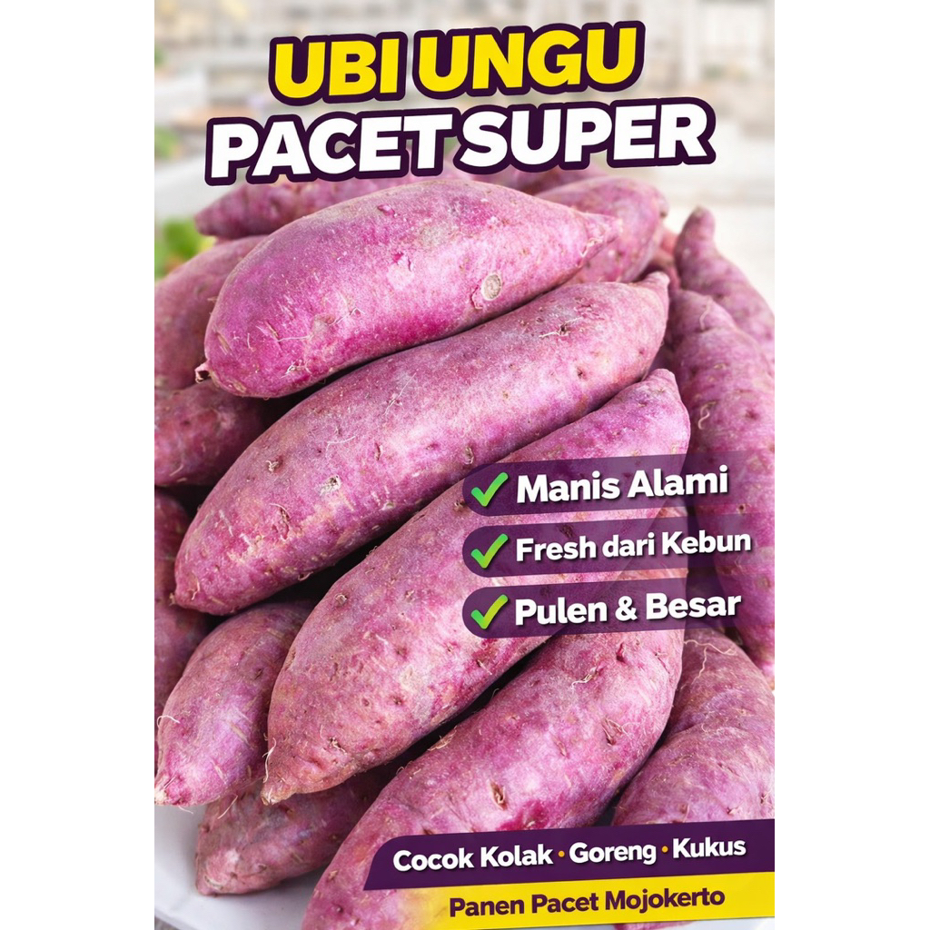 Ubi Ungu Pacet Mojokerto 1 KG Fresh Manis Pulen Cocok Kolak kukus goreng