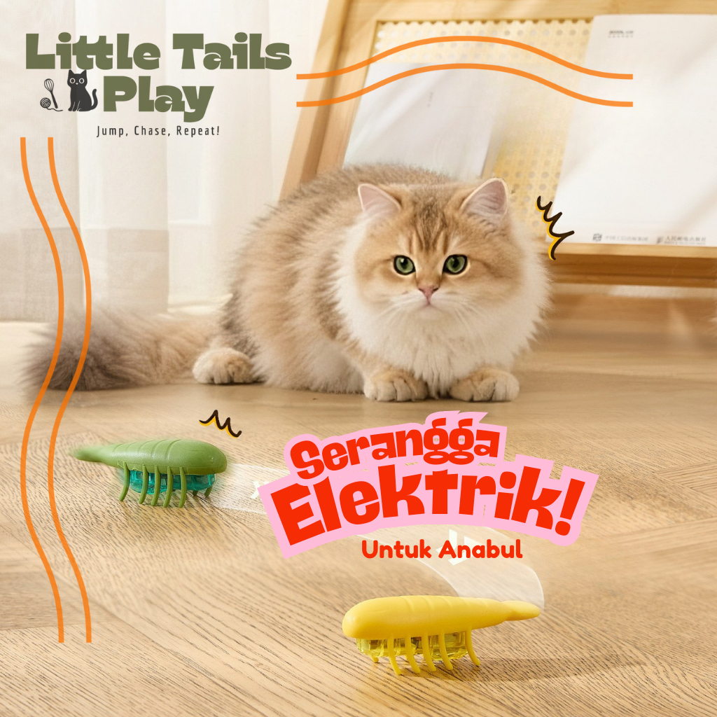 Serangga Elektrik Otomatis / Mainan Kucing Interaktif Robot Serangga Bergetar