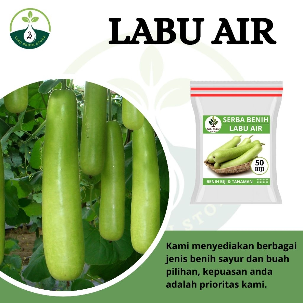 { 5 BIJI } Benih labu air balistik / bibit labu air / labu air pendek