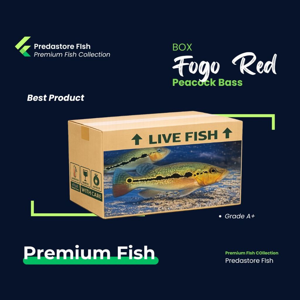 PBASS FOGO PURE ORIGINAL - 100% Garansi Pengiriman