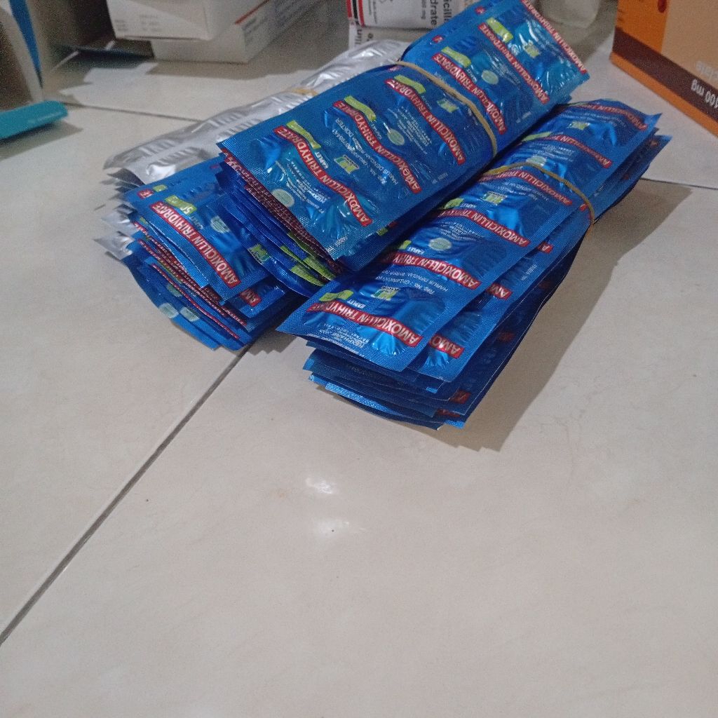 Amoxicillin obat antibiotik hewan tablet untuk anjing kucing infeksi