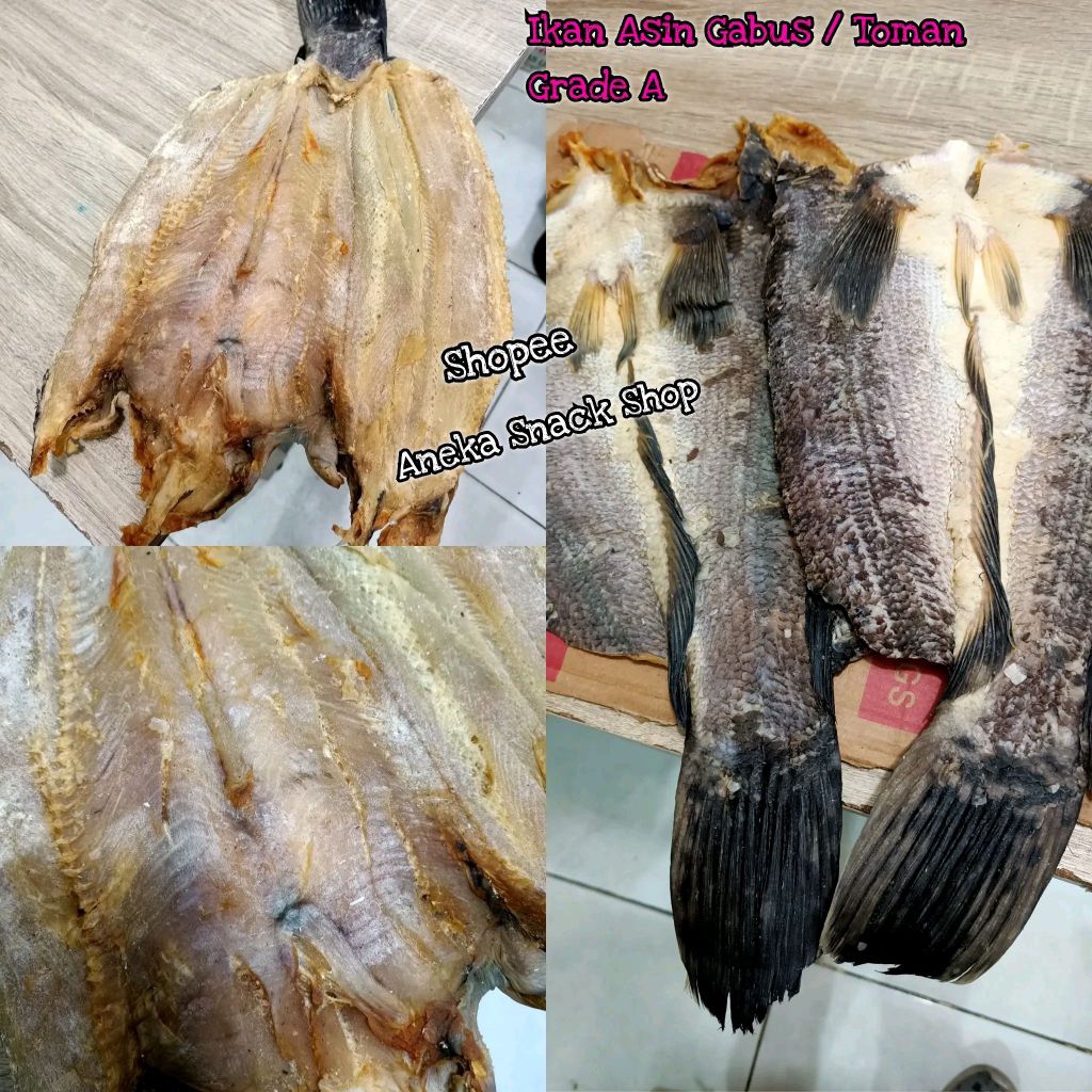 Ikan Asin Gabus (±500g) Ikan Asin Toman / Loi Pou / Lephu / Lai Phu / Ikan Asin Kalimantan Barat