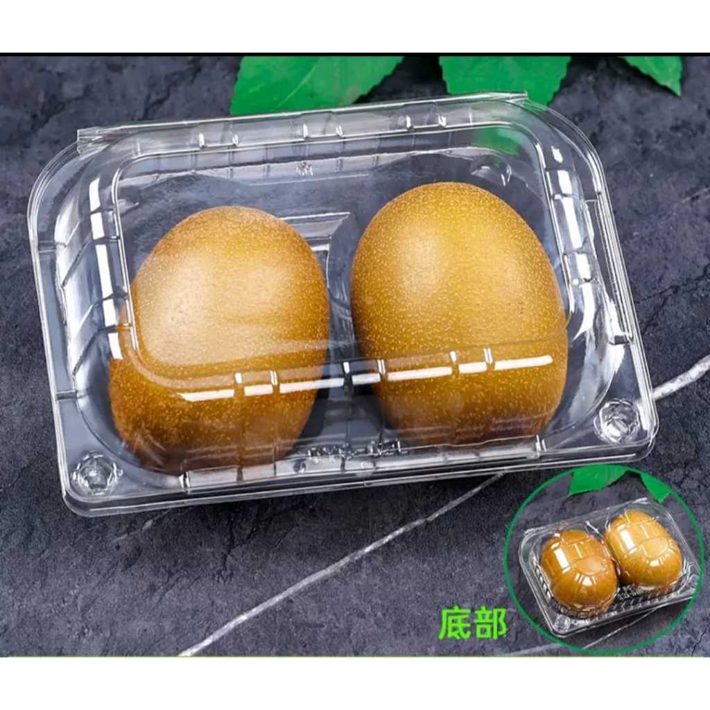 Mika Kiwi 2/4 Buah Isi 25pcs Transparan Pengunci