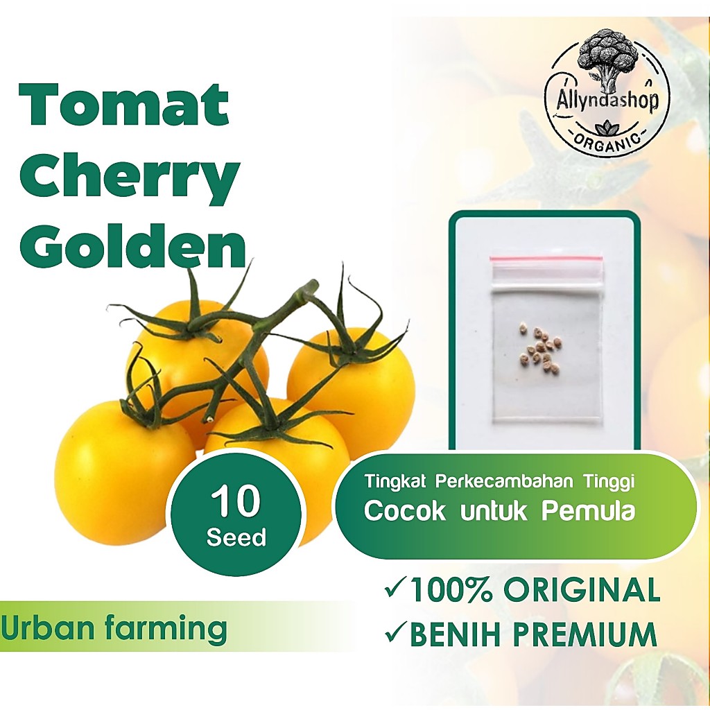 Bibit Tomat Cherry Kuning Golden Sweet