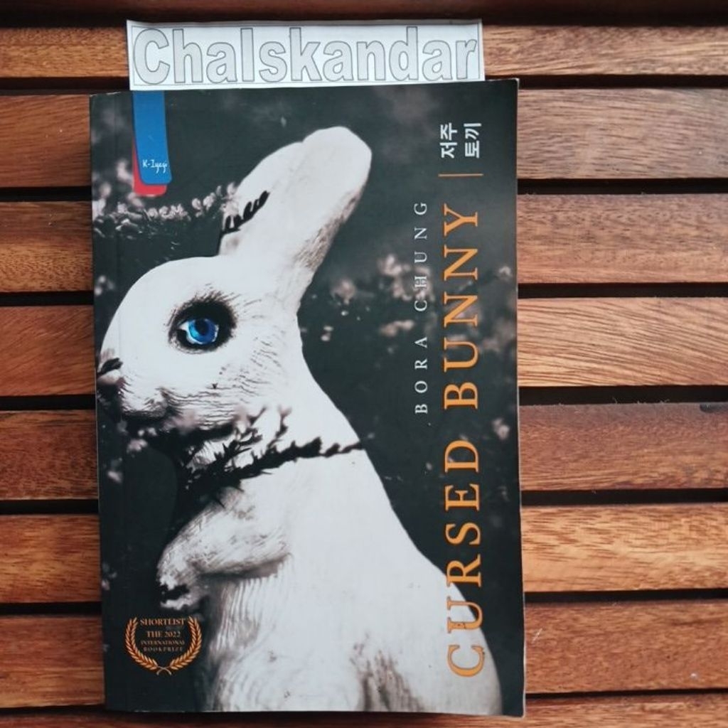 BUKU PRELOVED : CURSED BUNNY ~ BORA CHUNG
