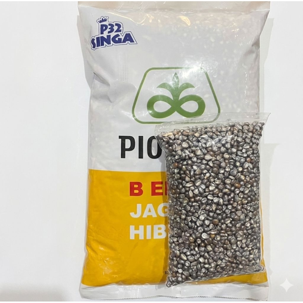 Benih Jagung kemasan polos Hybrid Pioneer P32 Singa 5kg - ecer polos 1 kg Original