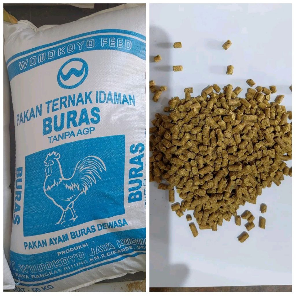 pakan ayam buras wonokoyo bentuk pelet repack 5 kg