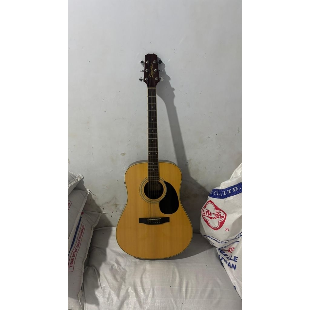 Preloved gitar segovia D W07 GN Elektrik