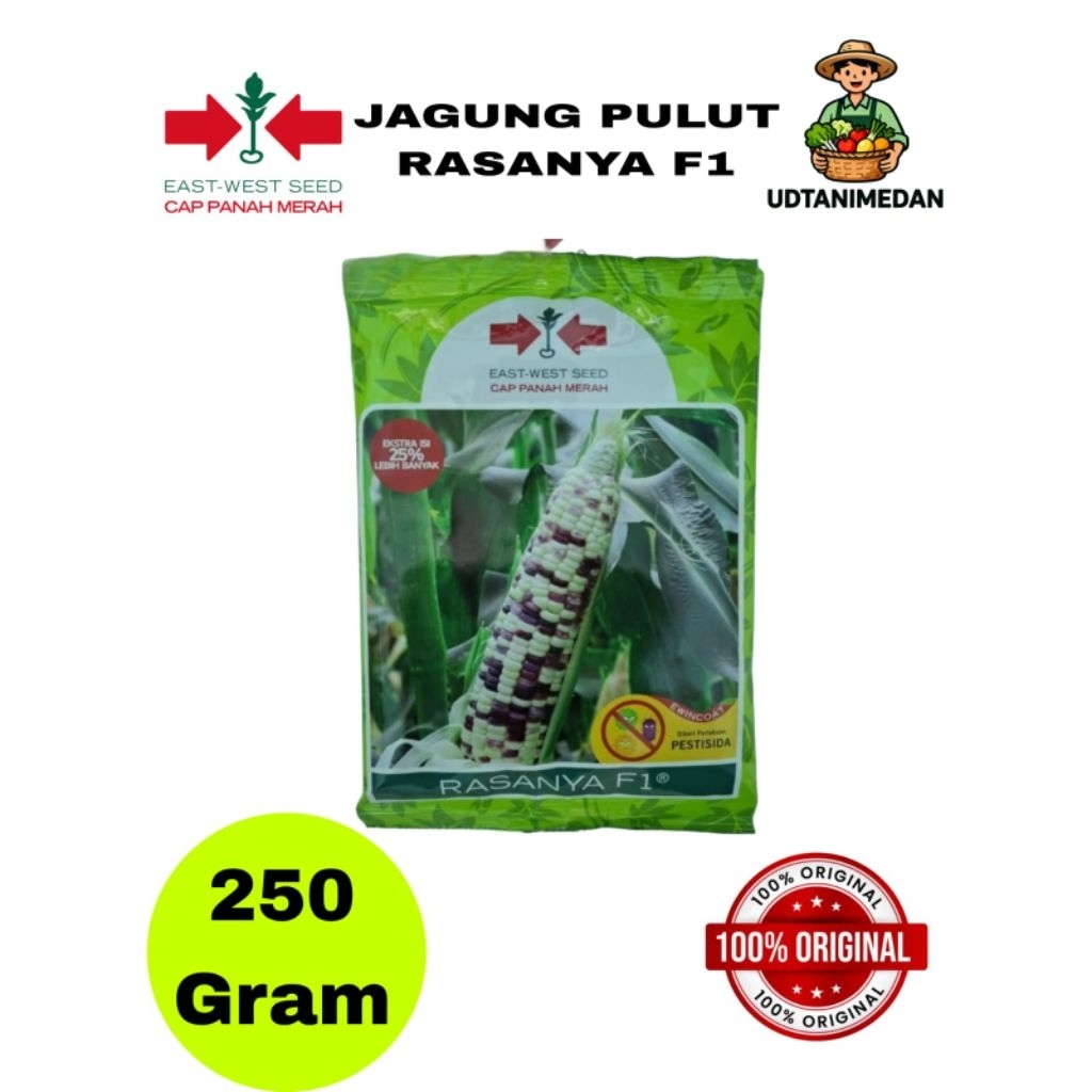 Benih Jagung Pulut Rasanya F1 isi 250 gram