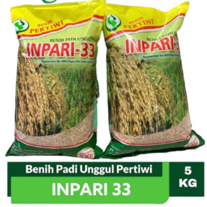 BIBIT - PADI INPARI 33 PERTIWI - 5 KG