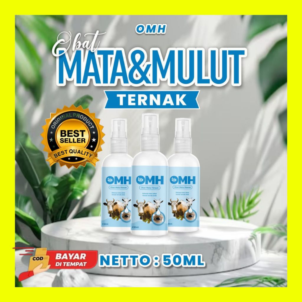 ASLI 100% Penyembuh Belekan Sapi Indukan