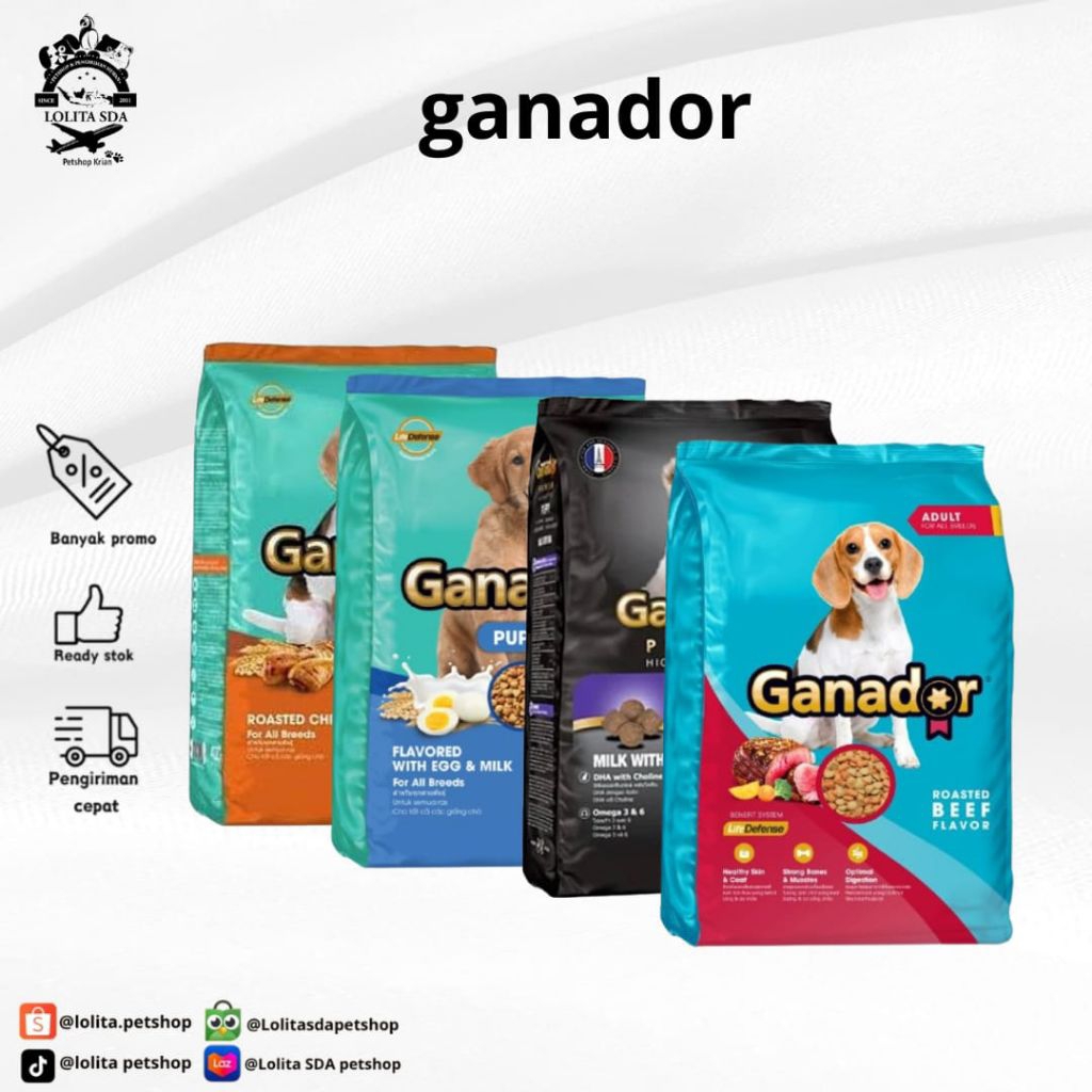 makanan anjing ganador / makanan anjing adult puppy