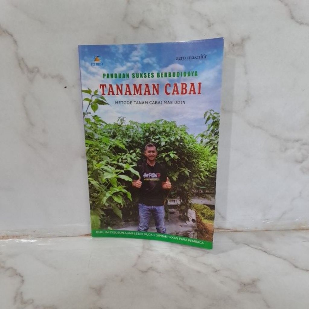 Panduan Sukses Berbudidaya Tanaman Cabai Metode Tanam Cabai Mas Udin