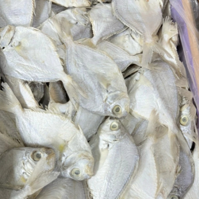 Ikan Petek Ikan Asin Petek Gereh Petek 250gram ikan asin petek Ikan Asin Petek Kering Ukuran Kecil k