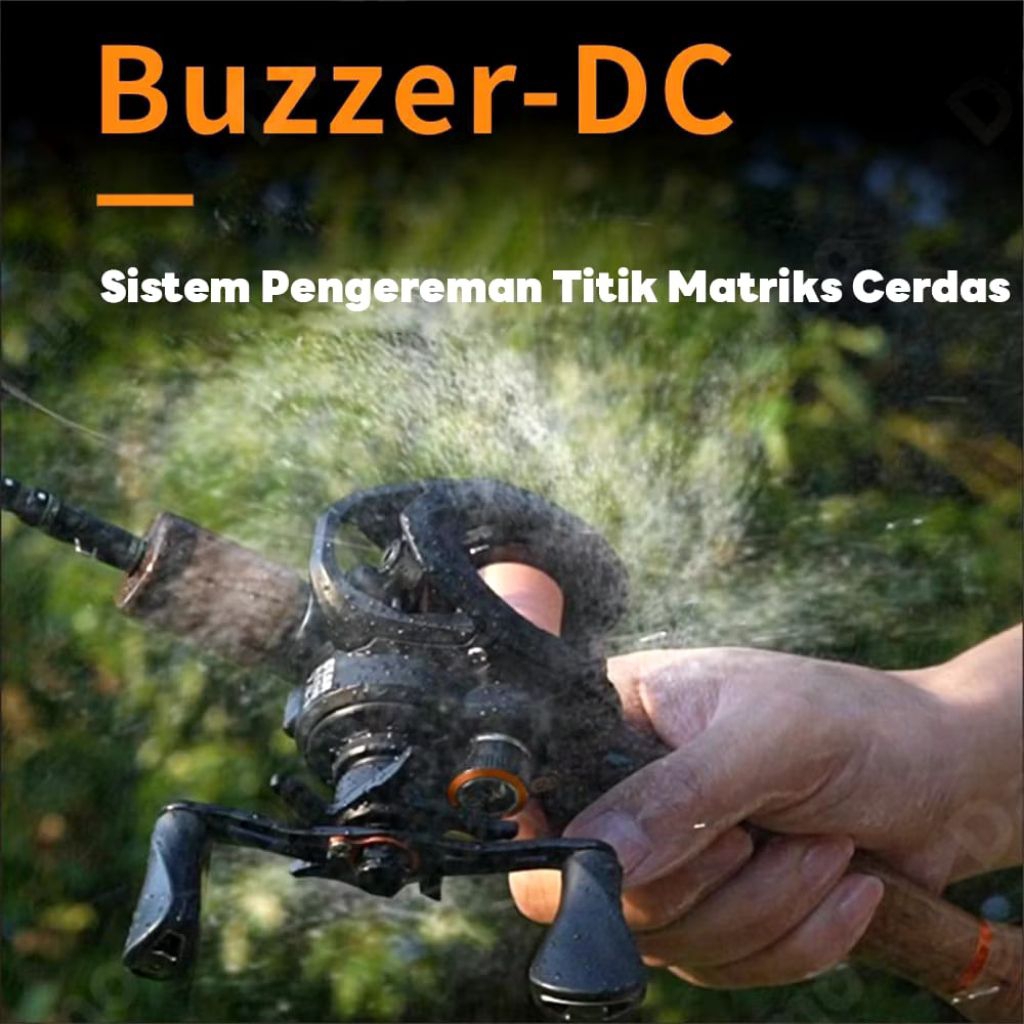 Dainamo starfall DC bunyi zingg