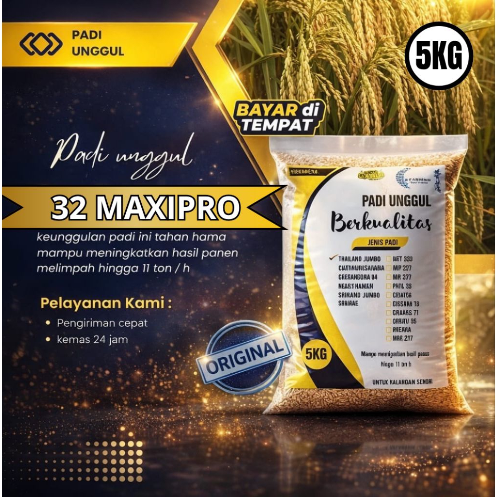 BENIH-BENIH PADI UNGGUL INPARI 32 MAXIPRO BERKUALITAS