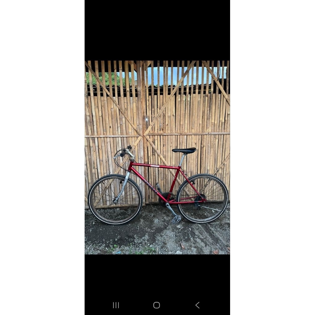 sepeda federal city cat size 19