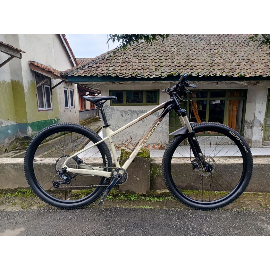 Poligon xtrada 6 size M 29 er