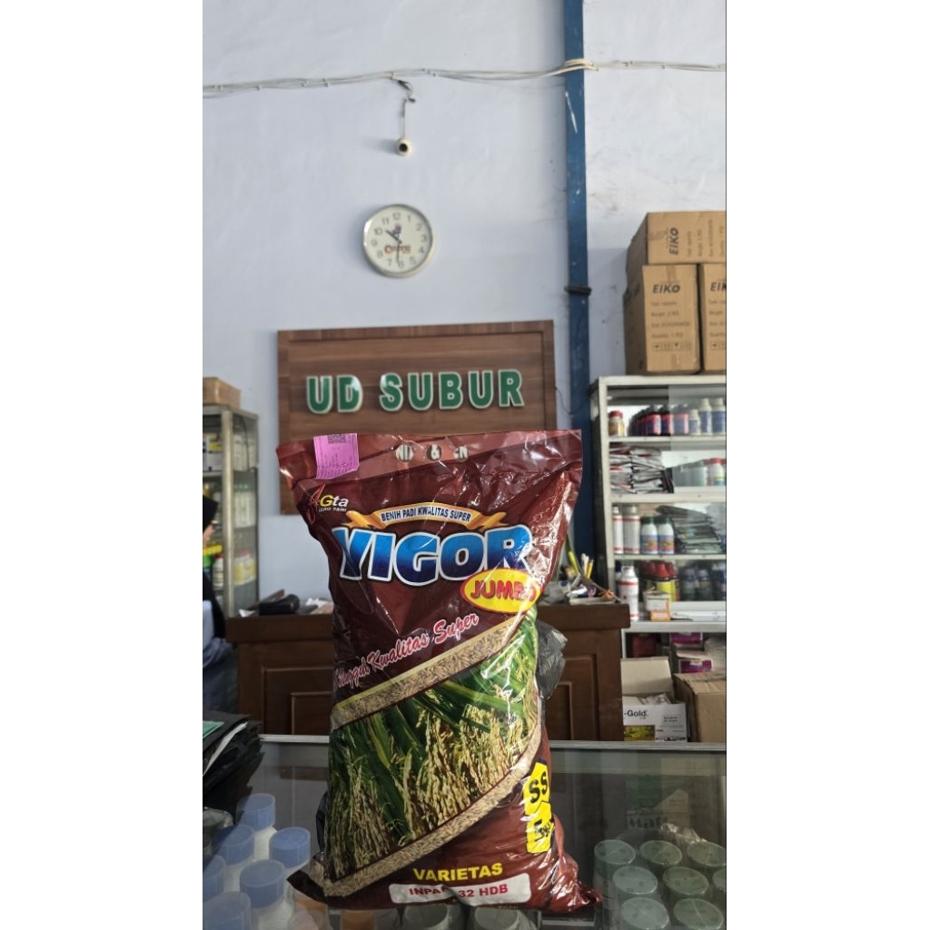 BENIH PADI INPARI 32 HDB VIGOR JUMBO SS (Berat bersih: 5kg)