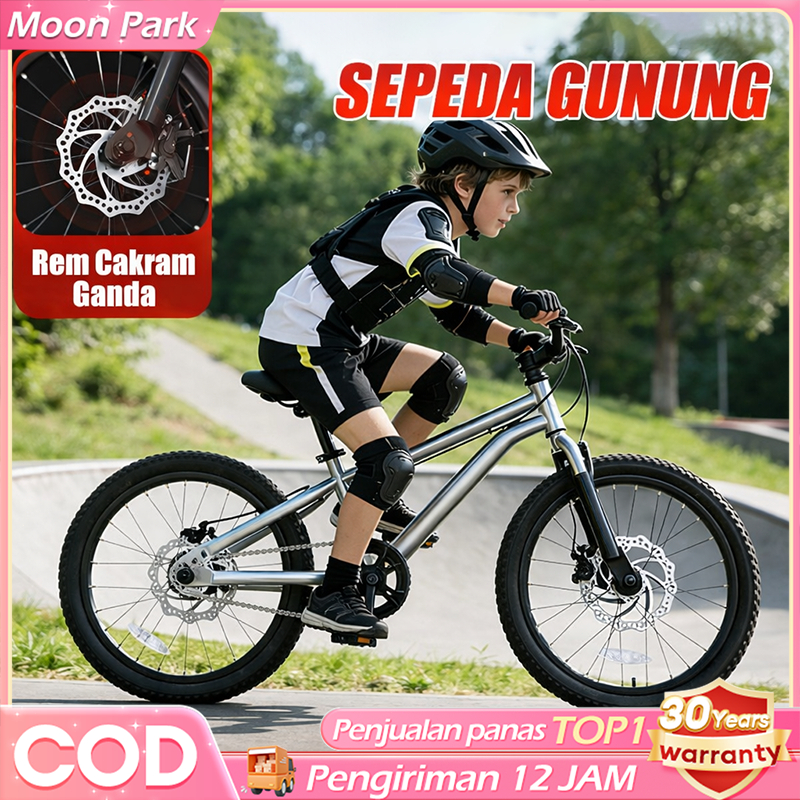 BEIGE Sepeda Anak Laki Laki 5 Tahun Rangka Magnesium RemCakram Ganda 2-12 Tahun Sepeda Gunung