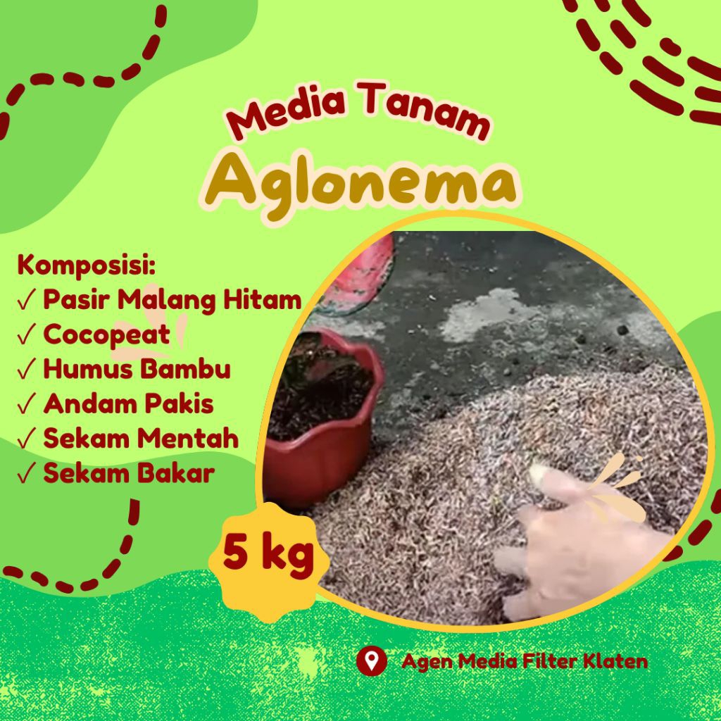 (6 in 1) Media Tanam Aglonema 5 kg Siap Pakai dengan Komposisi Pasir Malang Hitam, Sekam Bakar, Seka