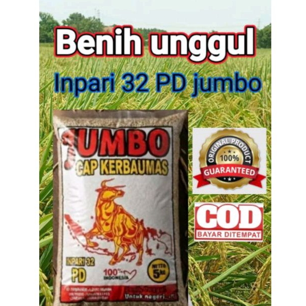 Bibit Benih Padi Inpari 32 PD jumbo Berkualitas Super Kemasan 5Kg