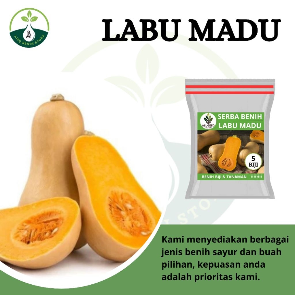 { 5 BIJI } Benih labu madu / bibit labu / labu madu