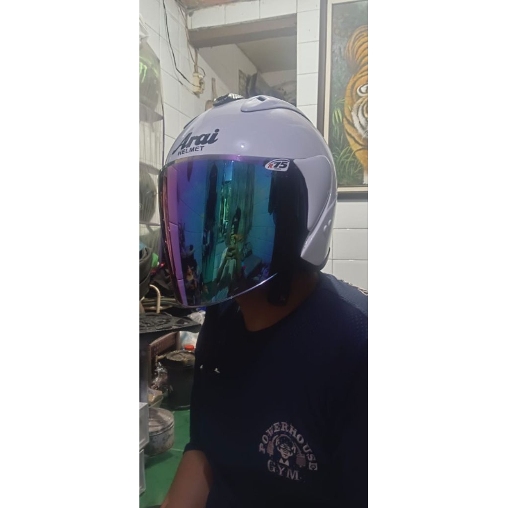 helm ala arai halface basic snail