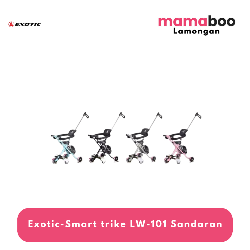 Exotic-Smart trike LW-101 Sandaran